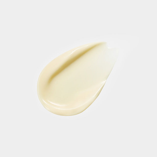 Concentrated Ginseng Renewing Perfecting Cream EX Classic-60ml-2